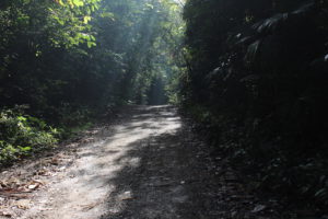 Sonne fällt auf Weg vom Soberania National Park