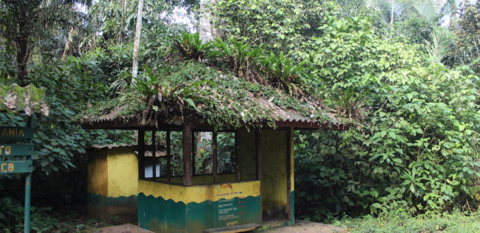 Rangerstation überwachsen